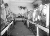 Agricultural fair booths, chicken coops and prize fowls