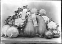 Agricultural fair booths and displays