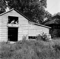 Tom Sawyer (Mike Sneed, age 9)