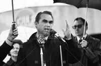 George Wallace campaign