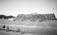 I. M. Terrell High, Activities [general]