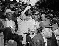 Jackie Robinson All-Star exhibition game (Nov. 11, 1949), and Jackie Robinson game w/ Brooklyn Dodgers