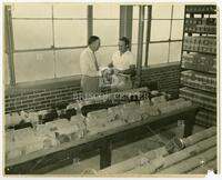 [Well sample library, Dr. J. E. Lansdale, Dr. Dan E. Ferey]: BEG personnel pre-1950
