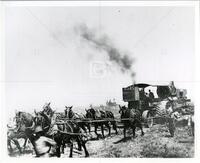 Horses pulling steam tractor engine