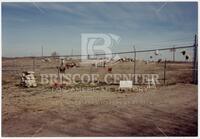 Fence of roses and tribute to the Waco victims