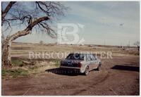 Lone Grey Car in Front of Tree