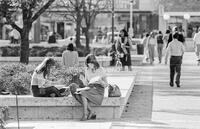 Campus scenes, students studying