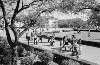 Campus scenes, students walking in South Mall