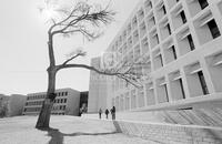 Campus scenes (libraries); Perry-Castaneda Library