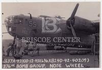 The Wild Wolf B-24 Bomber plane