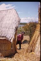 Lake Titicaca assignment