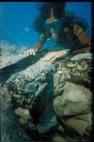 Diver at underwater archaeology site