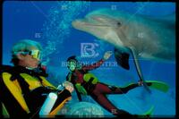 Divers with dolphin