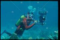 Diver with camera