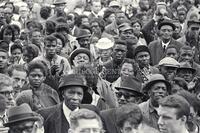 Selma, demonstrations and marches; Martin Luther King assignment