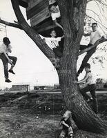 Boys in a tree house