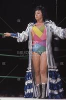 The Fabulous Moolah