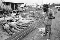 [Policeman looks at the dead at Jonestown]