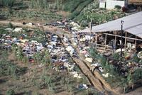 [Aerial view of the massacre at Jonestown]