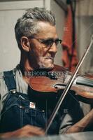 Fiddle player, Hillbilly Music, Arkansas