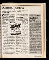 "Austin and Indonesia" and "Environmental Liability"
