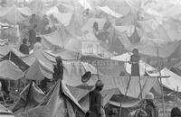 Cambodian refugee camp