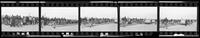 Film strip showing state trooper assualt on voting rights marchers