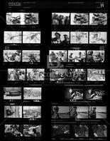 Contact sheet 11