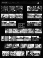 Contact sheet 17