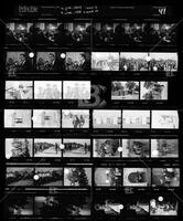 Contact sheet 41