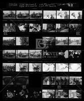 Contact sheet 42