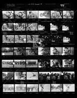 Contact sheet 44