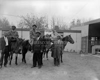 Camp Pinkston horseback riding