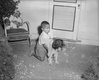 Boy with dog