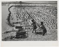 Children working in Indochina