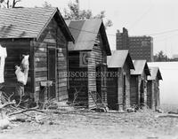 Shotgun row houses in Atlanta