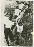 Waller Creek – A man being pulled from a tree by several police officers