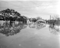 Kingsville Flood
