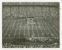 Longhorn Band in Texas formation