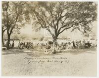 Photograph of Picnic luncheon – Twin Oaks – Sports Day