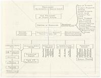 Sketch of organizational structure including the proposed Division of Recreation for UT