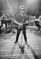 Photograph of Elvis Costello
