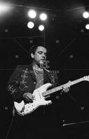 Photograph of Jimmie Vaughan - The Fabulous Thunderbirds