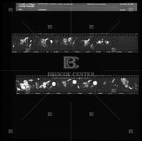 Film negative sheet of Nico