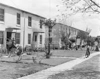 Front yards at Wiggins Homes