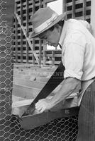 A carpenter. Corpus Christi,