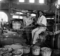 Scene in the market