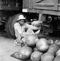 Scene in the fruit and vegetable market