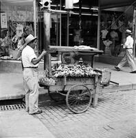 Fruit and vegetable peddler