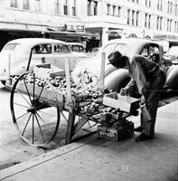 Fruit peddler